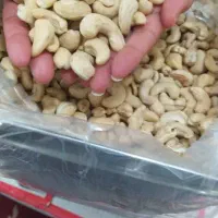 بادام هندی|خوردنی و آشامیدنی|اهواز, آریاشهر|دیوار