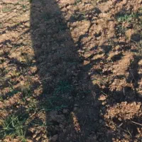 مغازه-تجاری