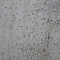 چربی زدا|مواد شوینده و دستمال کاغذی|چابهار, |دیوار