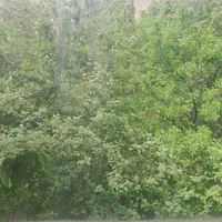 سوئیت و باغ ویلا بهشت بوژان ۲