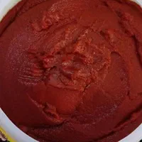 رب گوجه و ترشیجات سبزیجات سرخ کرده بادمجان کبابی|خوردنی و آشامیدنی|رشت, نخودچر|دیوار