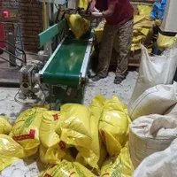 برنج عنبربواصل شوشتر ۱۰۰در۱۰۰تضمینی رباط کریم