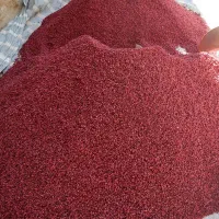پخش عمده زرشک