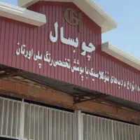 نیروی نیمه ماهر در کارگاه نقاشی