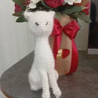 عروسک بافتنی|اسباب‌‌بازی|سبزوار, امیر کبیر|دیوار