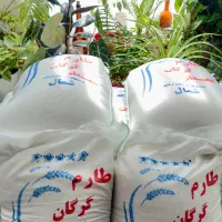 برنجکده ی شمال