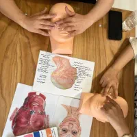 آموزش فیشال و پاکسازی پوست/ آموزش فشیال فیشیال|خدمات آموزشی|تهران, فردوس|دیوار