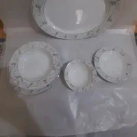 ظروف چینی زرین