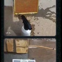 نانو تک اصل اصل