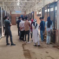 کارگر اصطبل اسب و باشگاه سوارکاری|استخدام سرایداری و نظافت|کرمانشاه, |دیوار