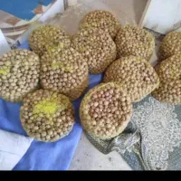 نیازمندیک نفرباغبان