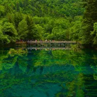 طبیعت گردی