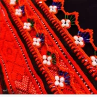 پذیرش سرتوپ کوریشی