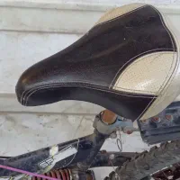 دوچرخه|دوچرخه، اسکیت، اسکوتر|بندر گز, |دیوار