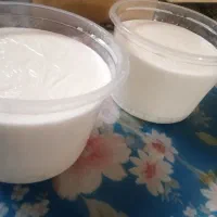 ماست و شیر بز مری