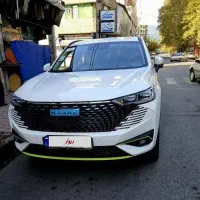 هاوال وارداتی خشک