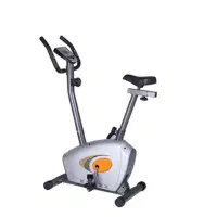 دوچرخه ثابت panda