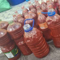 رب خانگی