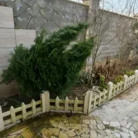 ویلا یخسازی  احمد گوراب|فروش خانه و ویلا|رشت, احمد گوراب|دیوار