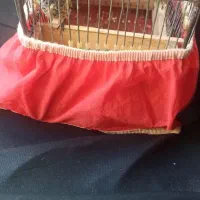 گلبسر جفت خور|پرنده|شیراز, شهرک بهار|دیوار