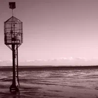 دانلود فیلم و سریال در خواستی