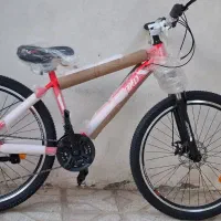 دوچرخه