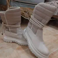 پوتین نو زنانه|کیف، کفش، کمربند|میاندوآب, |دیوار