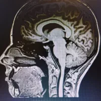 آموزش تایپ لاتین  ام ار ای