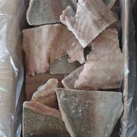 فروش انواع،ماهی،فیله ماهی..