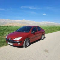 ۲۰۶ sd|خودرو سواری و وانت|تهران, سنگلج (شاپور)|دیوار