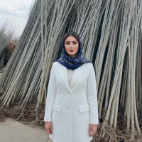 فروش نهال صنوبر با درامد میلیاردی