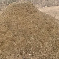 کود.کود گوسفندی|گل و گیاه طبیعی|لردگان, |دیوار