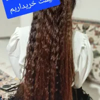 فروش و خرید موی طبیعی خریدار اصلی بدون واسطه