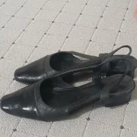 کفش|کیف، کفش، کمربند|ایلام, |دیوار