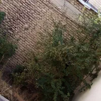 فروش خانه ویلایی فارسان|فروش خانه و ویلا|فارسان, |دیوار