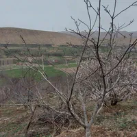 خونه باغ تنگه واشی/سند/جواز/برق/مدارک تکمیل|فروش دفتر صنعتی، کشاورزی، تجاری|فیروزکوه, |دیوار