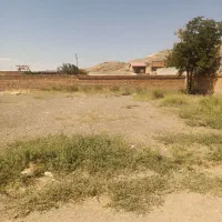 زمین ۳۰۰ متری