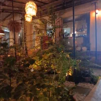 نیرو برای کار در کافه