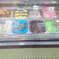 استخدام نیرو ابمیوه بستنی