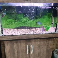 آکواریوم با تجهیزات