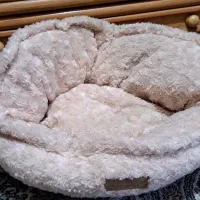 جای خواب وتشک پت