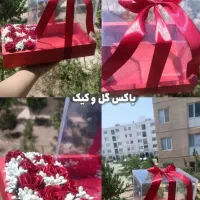 گل روبانی|گل مصنوعی|بندر گناوه, |دیوار