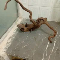 سرگرمی و فراقت