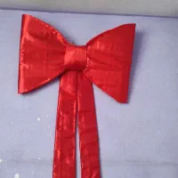 پاپیون بزرگ ولنتاین