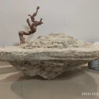 صخره وسنگ مصنوعی دکوری