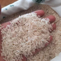 فروش برنج پر محصول فجر فقط ۱۴۰ تومن|خوردنی و آشامیدنی|آستارا, |دیوار