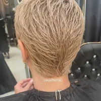 خدمات کوتاهی مو نارمک