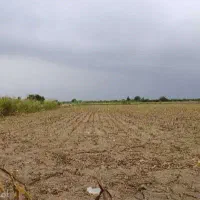 زمین کشاورزی پایین تر از سپاه برده رشه