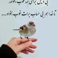 کارت سوخت پیدا شده