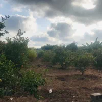 فروش-باغچه-برق-دار-500-متری
